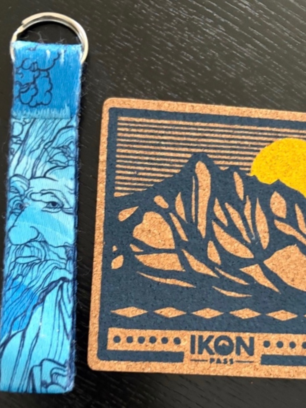 Mammoth Mtn Coaster & Keyring Set